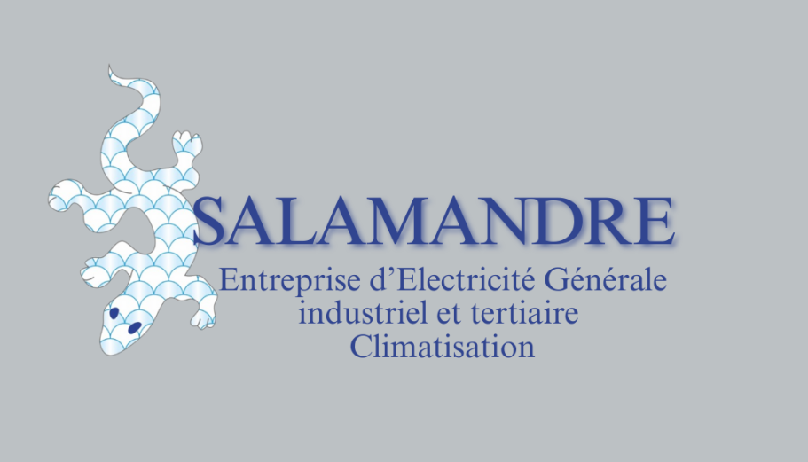 logo salamandre electricien climatisation anet